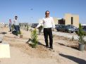 گزارش تصویری مراسم روز درخت کاری و تقدیر از نیروهای باغبانی دانشگاه